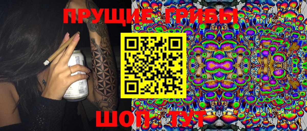 Галлюциногенные грибы GOLDEN TEACHER Карачаевск
